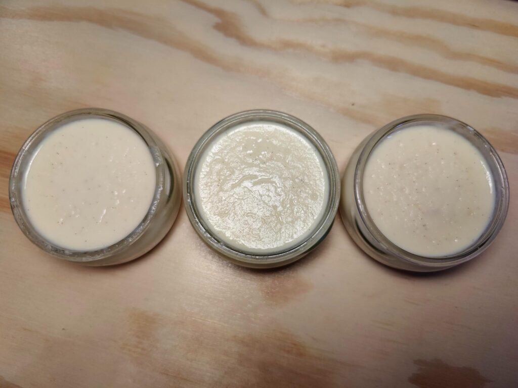 crème dessert à la vanille sans lactose